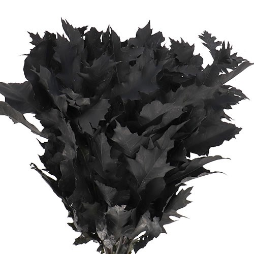 OAK LEAVES DYED BLACK (SMALL)
