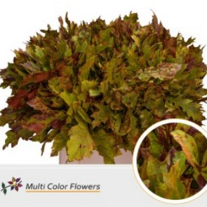Oak Leaves Dyed Autumn Mix