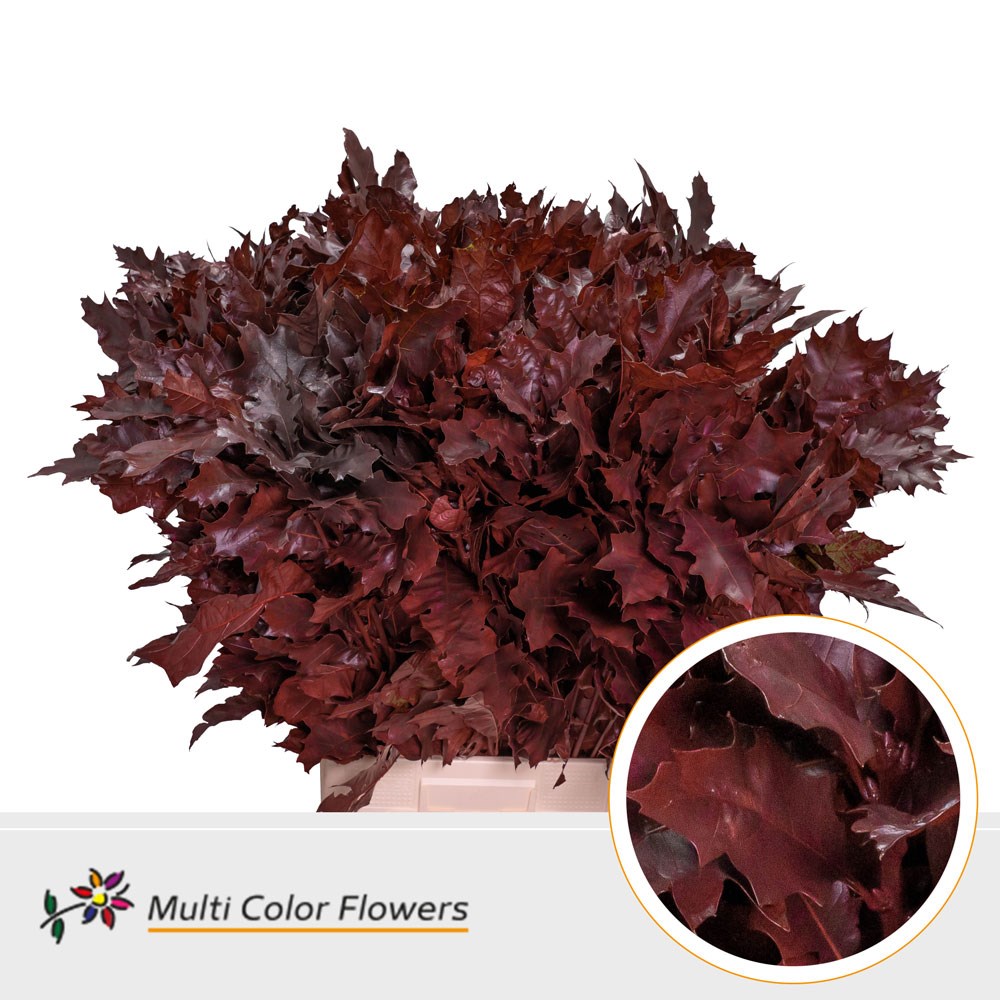 Oak Leaves Dyed Burgundy