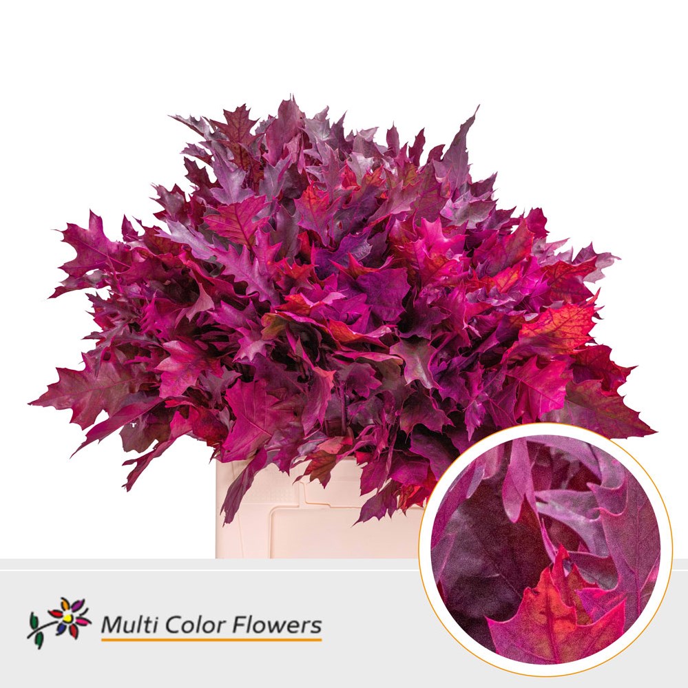 Oak Leaves Dyed Erica