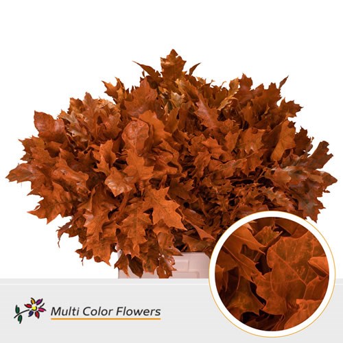 Oak Leaves Dyed Frost Orange