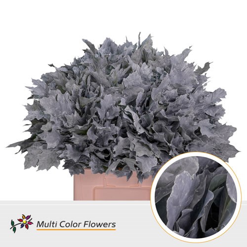 Oak Leaves Dyed Frost White
