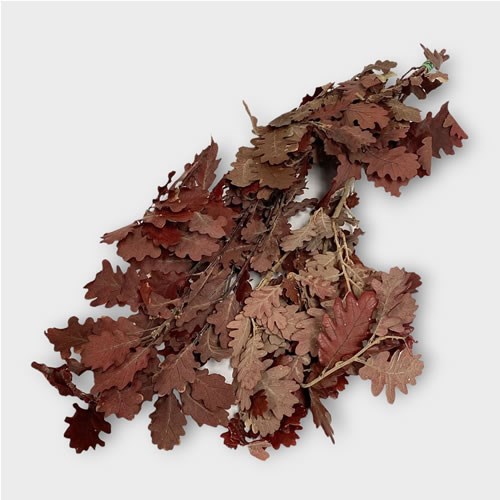 Oak Leaves Preserved Red