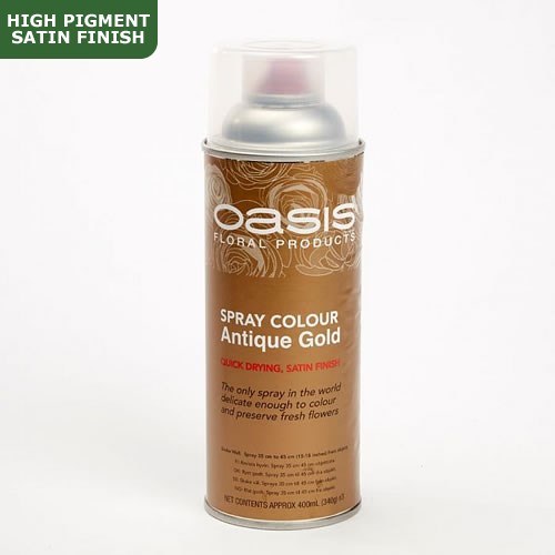 Spray Paint (Oasis) - Antique Gold (Satin Finish)