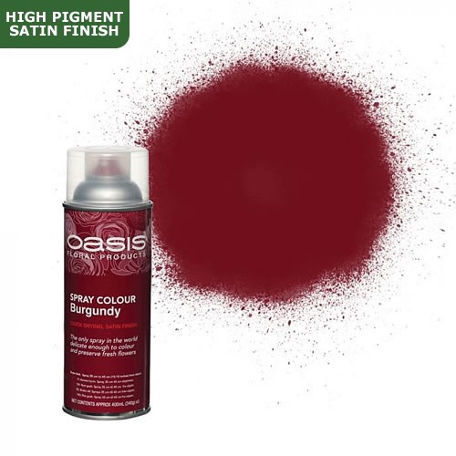Spray Paint Oasis Burgundy Wholesale Dutch Flowers Florist Supplies UK