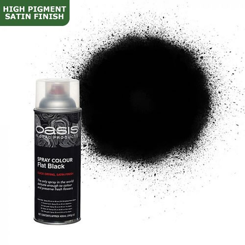 Spray Paint (Oasis) - Flat Black (Satin Finish) 
