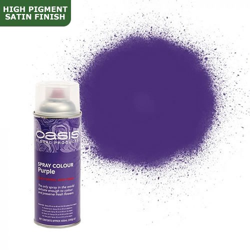 Spray Paint (Oasis) - Purple (Satin Finish)