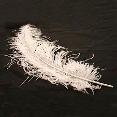 Ostrich Feathers - White