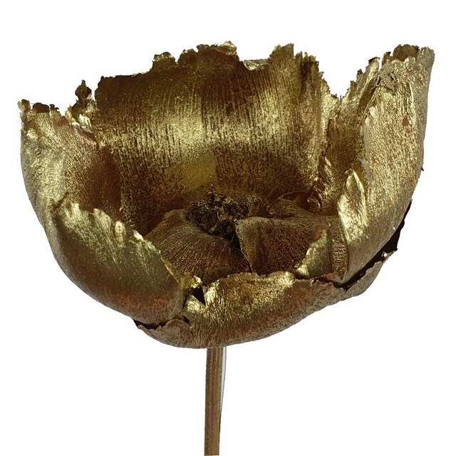 PALMCUPS -  GOLD (DRIED)