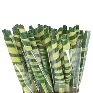 PANDANUS TUBES