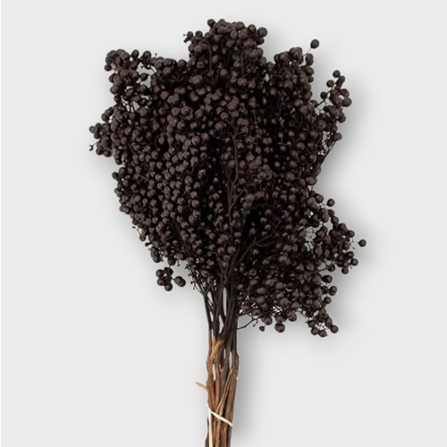 PEPPER BERRIES BLACK (SHINUS MOLLE)