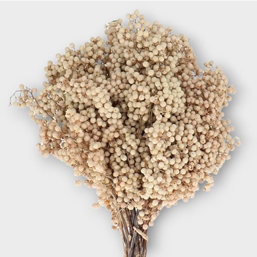 PEPPER BERRIES BLEACHED (SHINUS MOLLE)