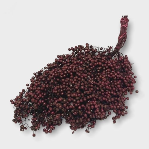 Pepper Berries Bordeaux (Schinus Molle )