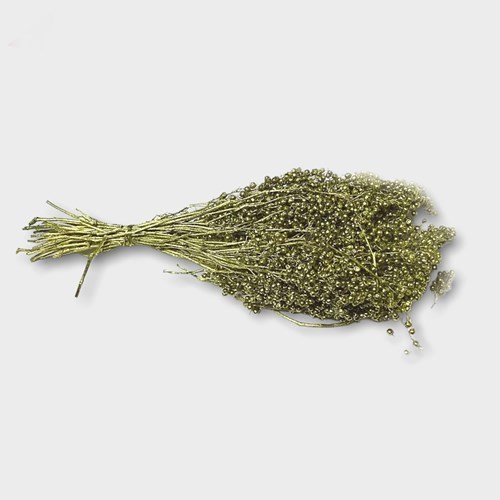 Pepper Berries Gold (Schinus Molle )