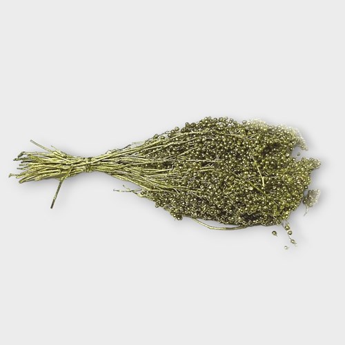 PEPPER BERRIES GOLD (SHINUS MOLLE)