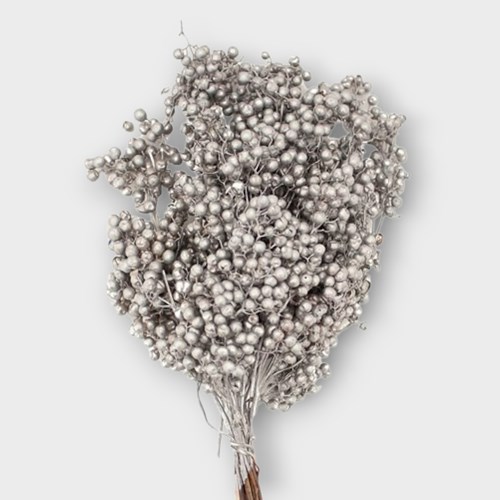 PEPPER BERRIES SILVER (SHINUS MOLLE)