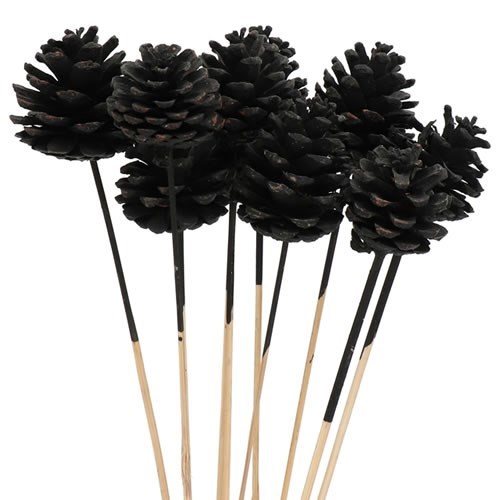 PINE CONE PICKS - BLACK