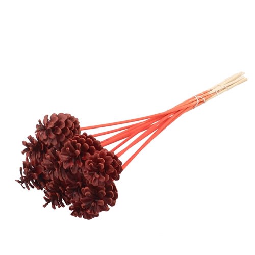 PINE CONE PICKS - RED