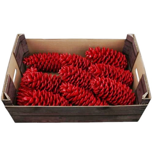 PINE CONES WAXED RED