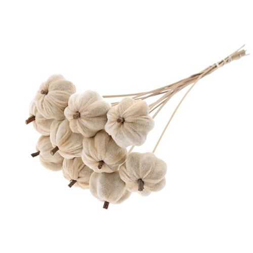 PUMPKIN PICKS - VELVET NATURAL