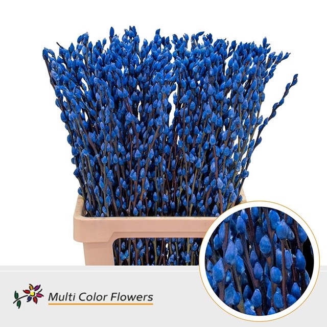 PUSSY WILLOW DYED DARK BLUE