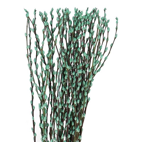 PUSSY WILLOW DYED MINT GREEN