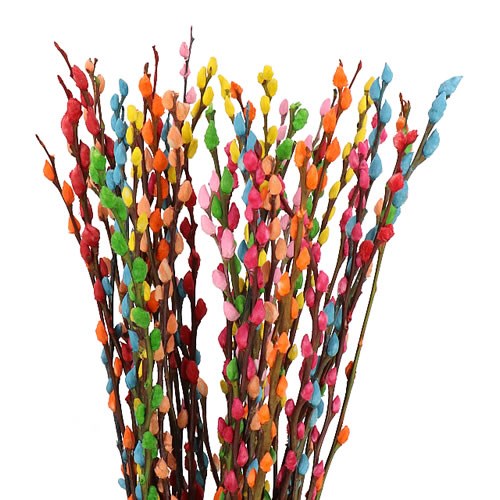 PUSSY WILLOW DYED RAINBOW MIX