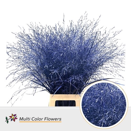 Panicum Grass Dyed Metallic Dark Blue