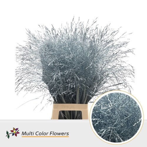 Panicum Grass Dyed Metallic Light Blue