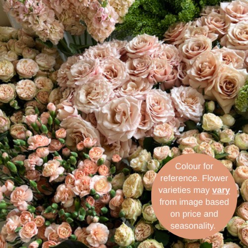 Wholesalers Choice (Peach / Salmon)