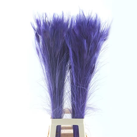 Peacock Feathers Dyed Lilac
