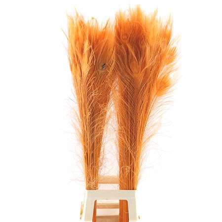 Peacock Feathers Dyed Orange