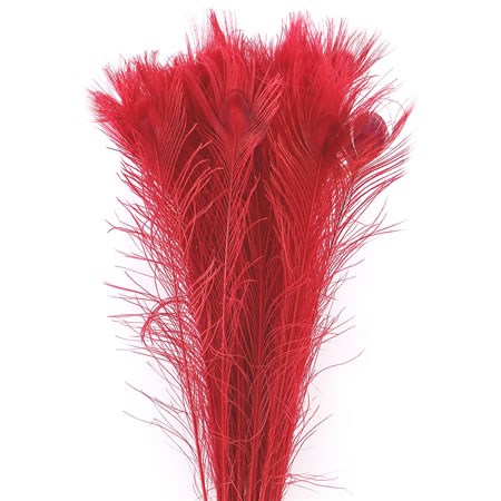 Peacock Feathers Dyed Red
