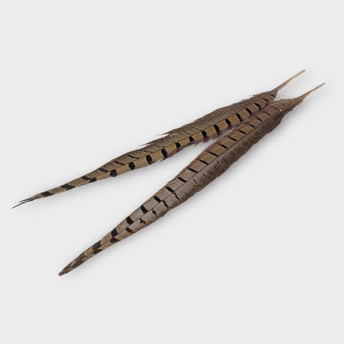 Pheasant Tail Feathers - Pack of 2