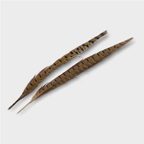 Pheasant Tail Feathers - Pack of 2