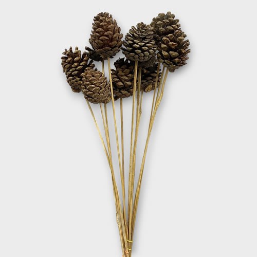 PINE CONE PICKS - COPPER GLITTER  Wholesale Dutch Flowers & Florist  Supplies UK