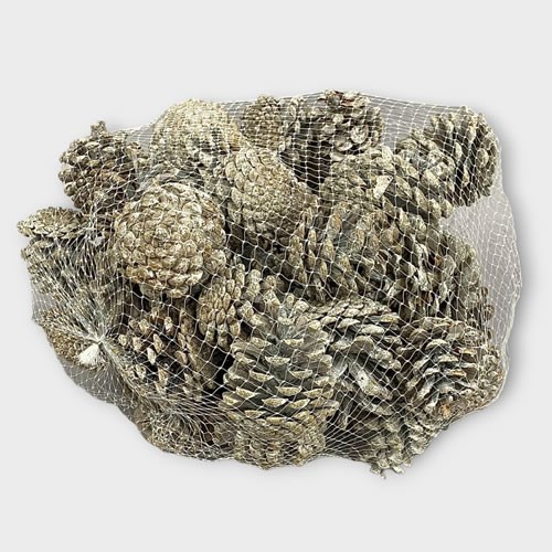 Pine Cones Frosted 1kg (Dried)