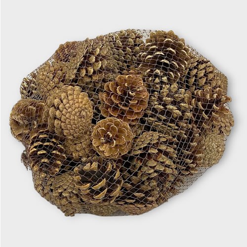 Pine Cones Natural 1kg (Dried)