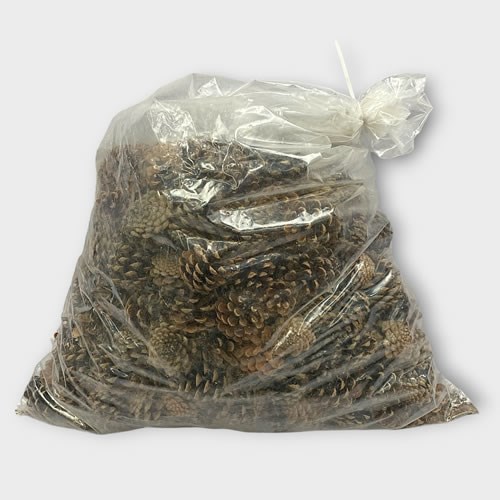 Pine Cones Natural 5kg (Dried)