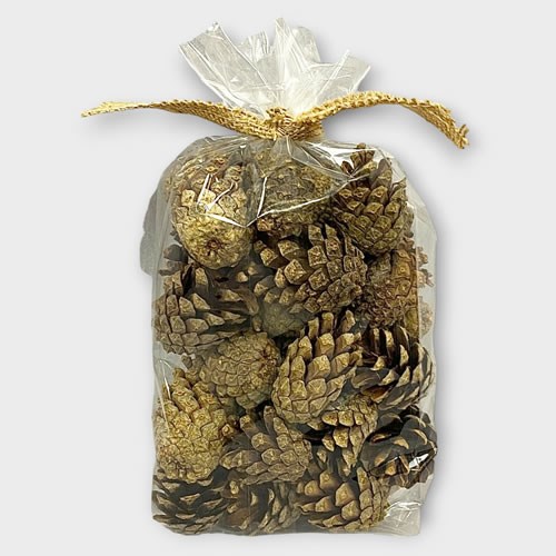 Pine Cones Natural Small 300gm (Dried)