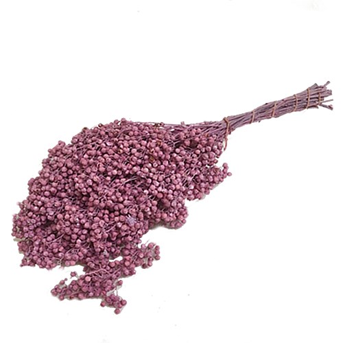 Pepper Berries Dyed Pink (Schinus Molle )