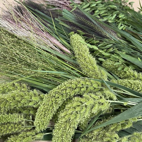Wholesalers Choice (Mixed Decorative Grass)