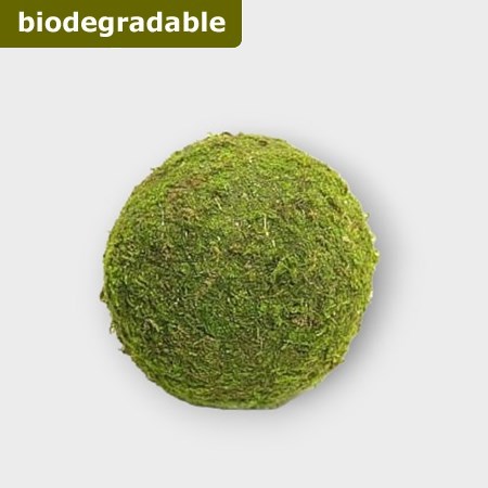 Preserved Moss Balls 10cm (pack of 6)
