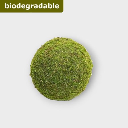 Preserved Moss Balls 8cm (pack of 12)