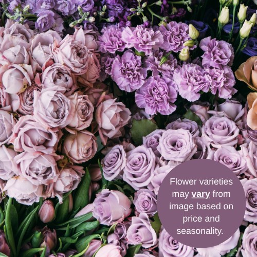 Wholesalers Choice (Lilac / Purple)