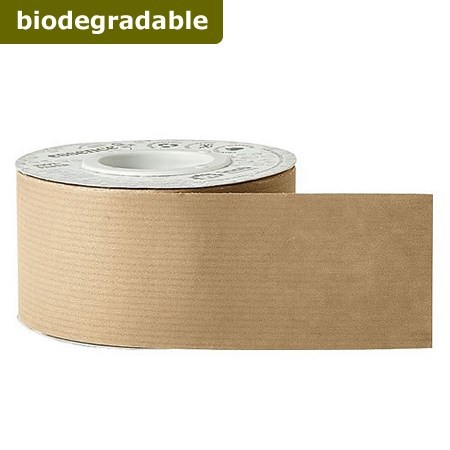 RIBBON BIODEGRADABLE PAPER NATURAL - 50MM