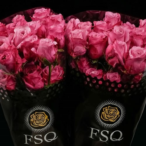 ROSE ALL 4 LOVE (ECUADOR LARGE HEADS)