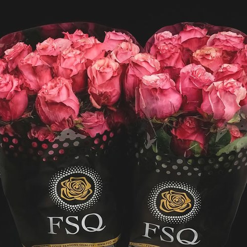 ROSE ART (ECUADOR LARGE HEADS)