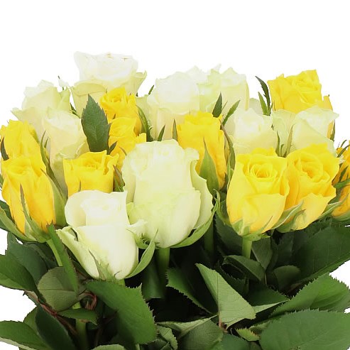 ROSE EASTER MIX