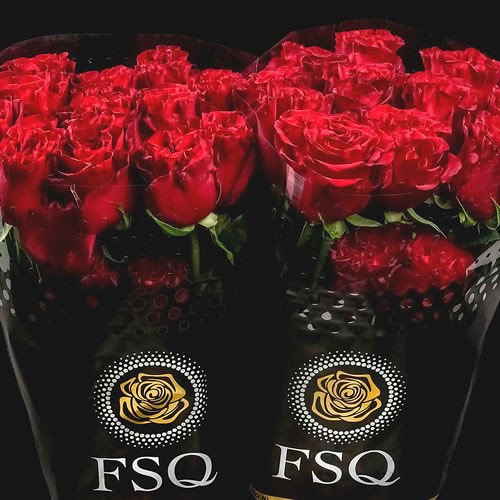 ROSE HEARTS (ECUADOR LARGE HEADS)